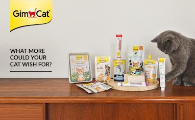 بررسی و خرید خمیر مالت آنتی هیربال گربه جیم کت با طعم مرغ (GimCat)