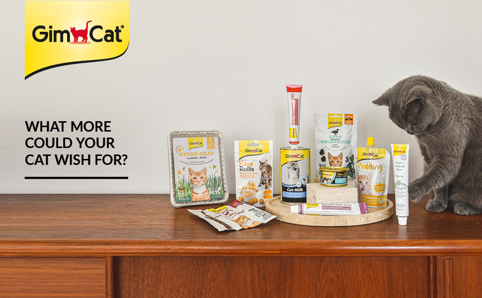 بررسی و خرید خمیر مالت آنتی هیربال گربه جیم کت با طعم مرغ (GimCat)