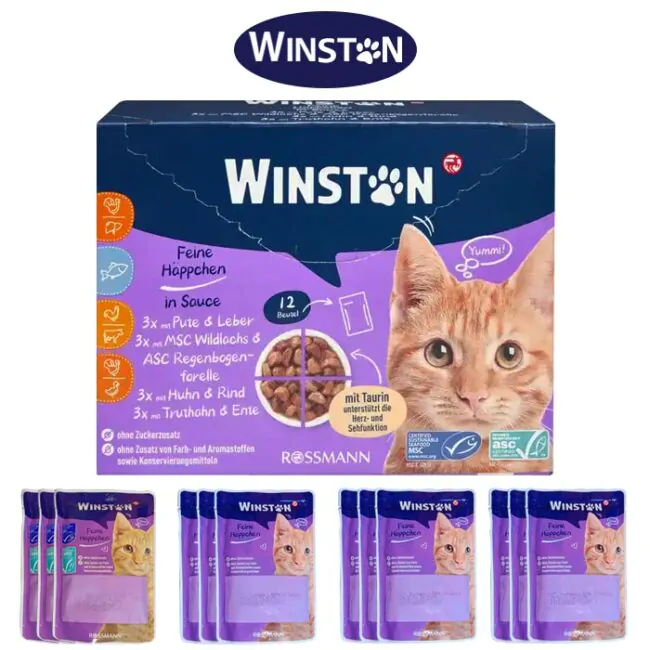 پوچ گربه وینستون – تغذیه سالم، خوش‌خوراک و کامل برای گربه شما