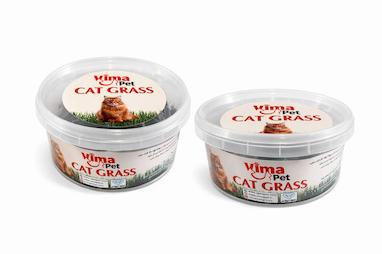 چرا گربه‌ها به علف نیاز دارند؟ + راهنمای خرید بهترین علف گربه